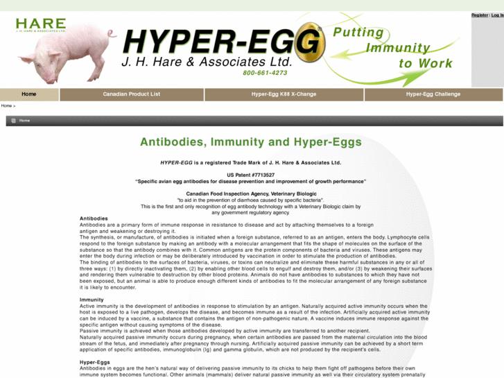 www.hyper-egg.net