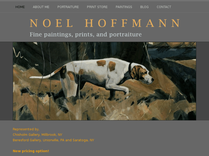 www.noelhoffmann.com