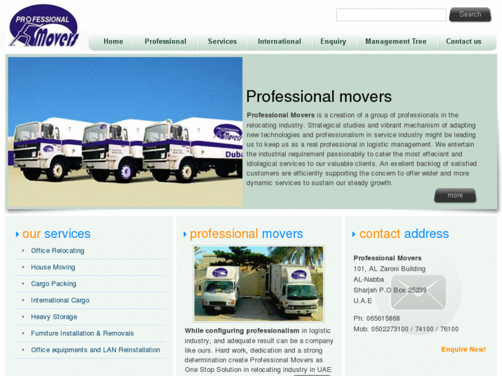 www.professionalmoversuae.com