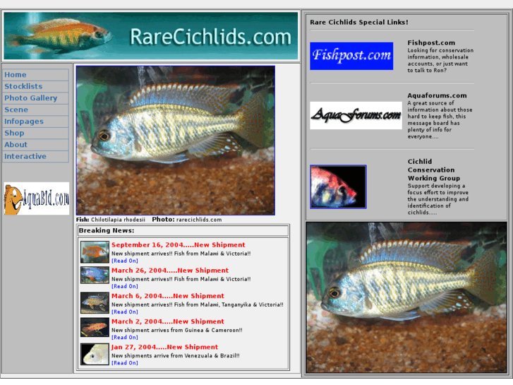 www.rarecichlids.com