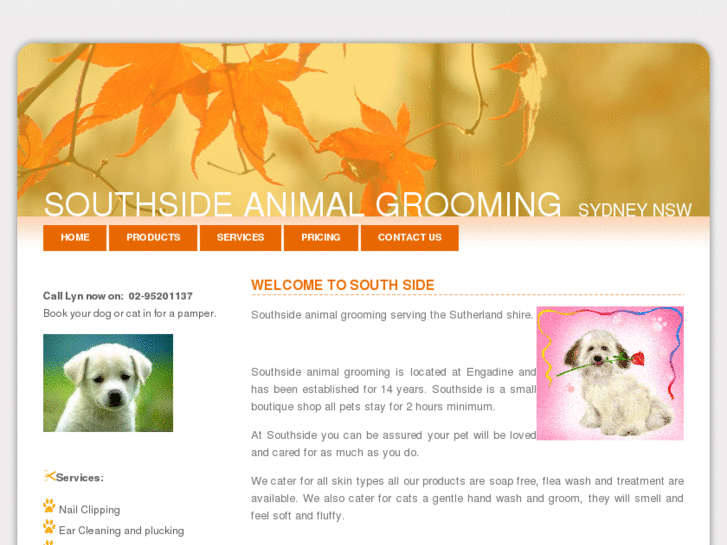 www.southsideanimalgrooming.com