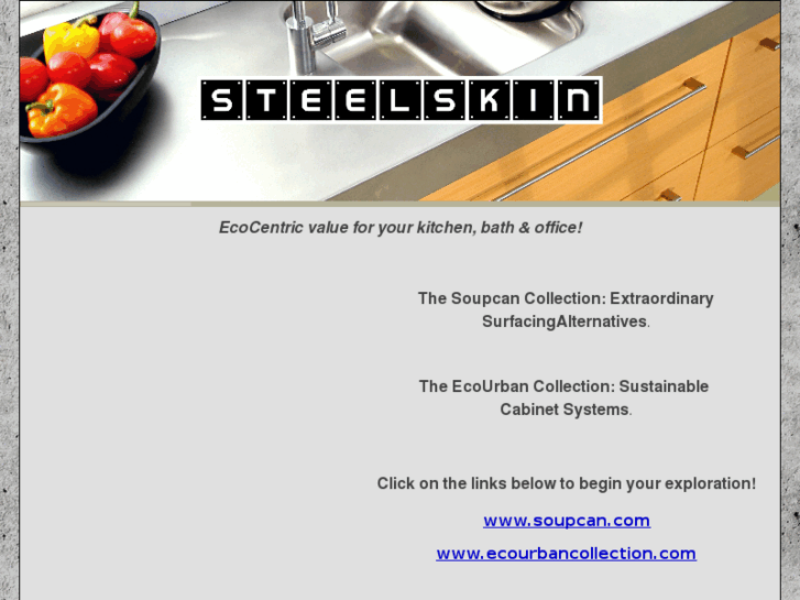 www.steelskininc.com