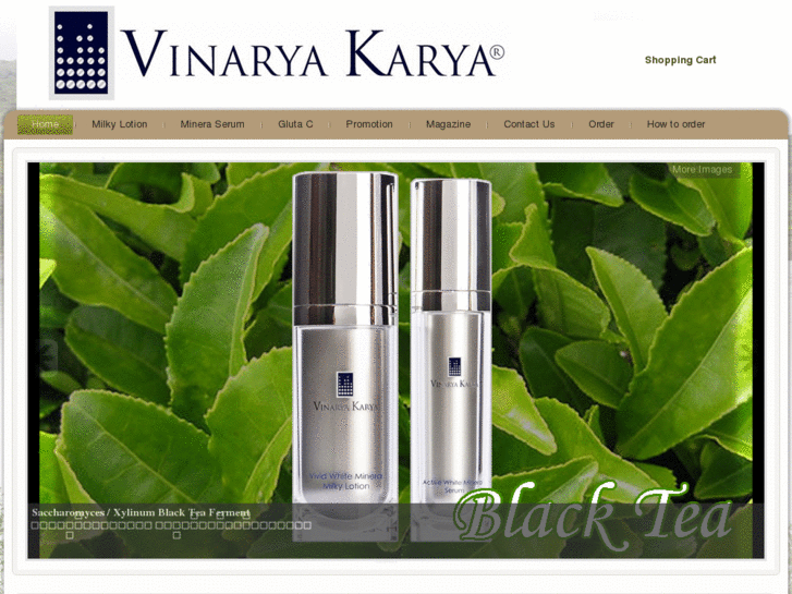 www.vinaryakarya.com