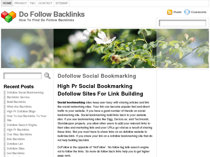 www.dofollowbacklinks.com