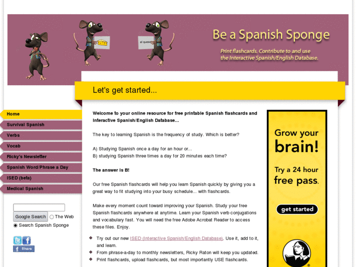 www.spanishsponge.com