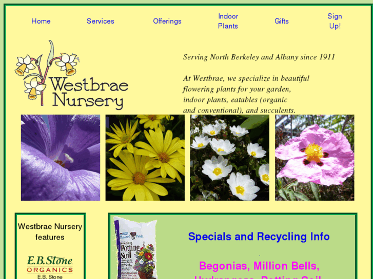 www.westbrae-nursery.com