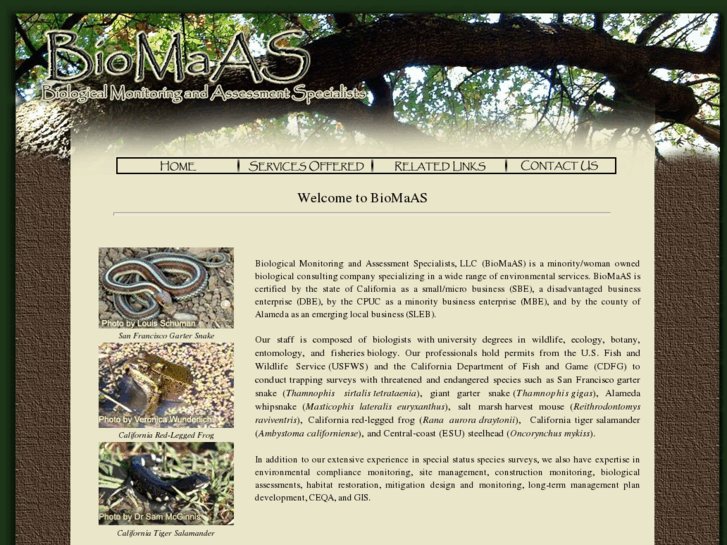 www.biomaas.com