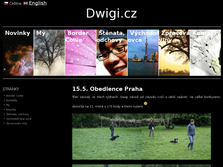 www.dwigi.cz