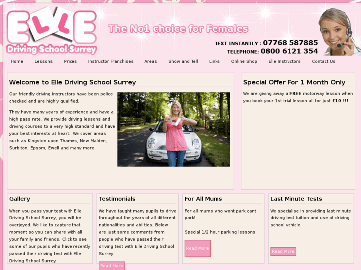 www.elledrivingschoolsurrey.com