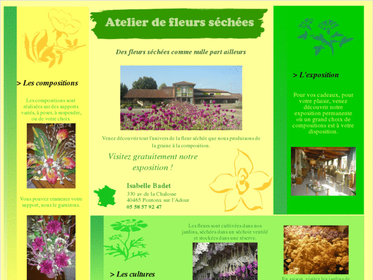 www.fleurs-sechees-landes.com