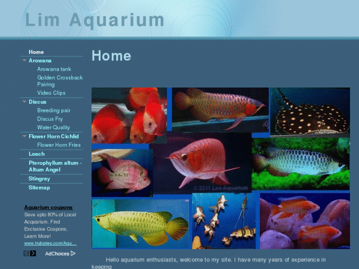 www.limaquarium.com