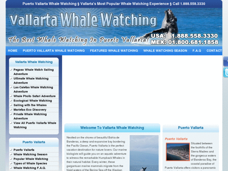 www.vallartawhalewatching.com