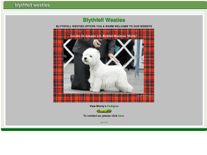 www.blythfellwesties.com