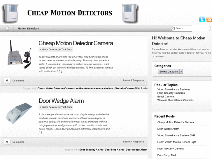 www.cheapmotiondetector.com