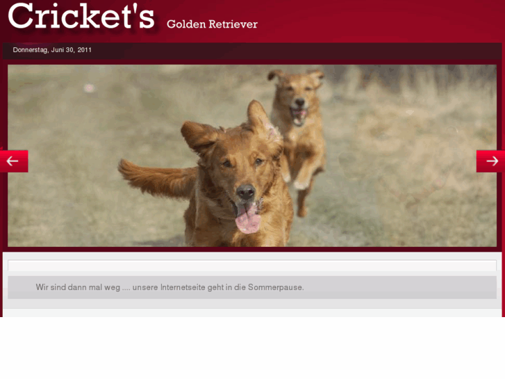 www.crickets-gundogs.de