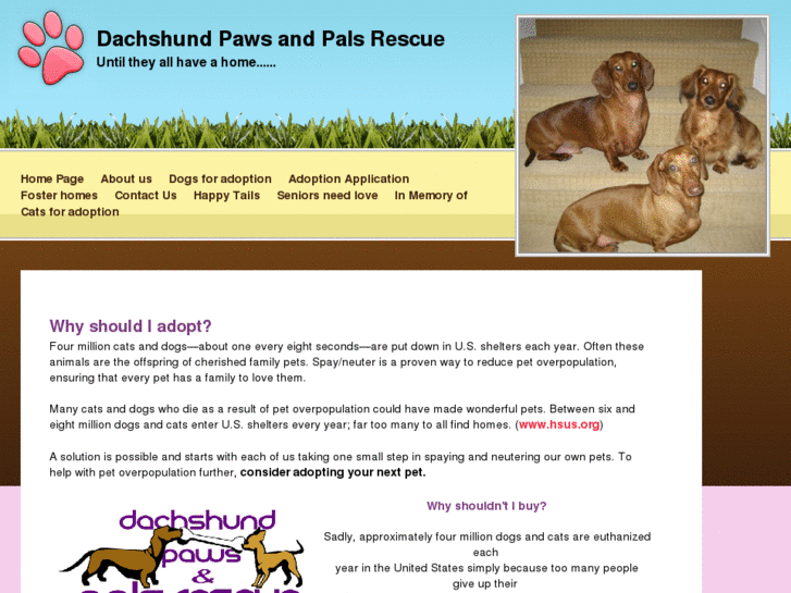 www.dachshundpaws.org