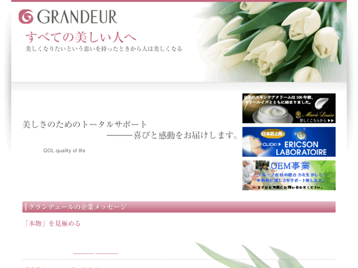 www.grandeur-gd.co.jp