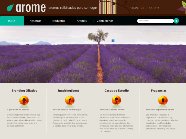 www.olfahome.com