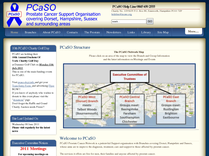 www.pcaso.com