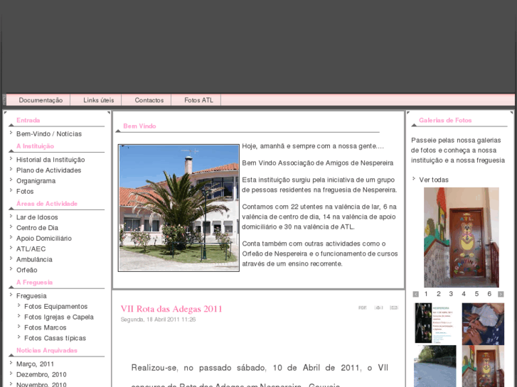 www.aanespereira.com