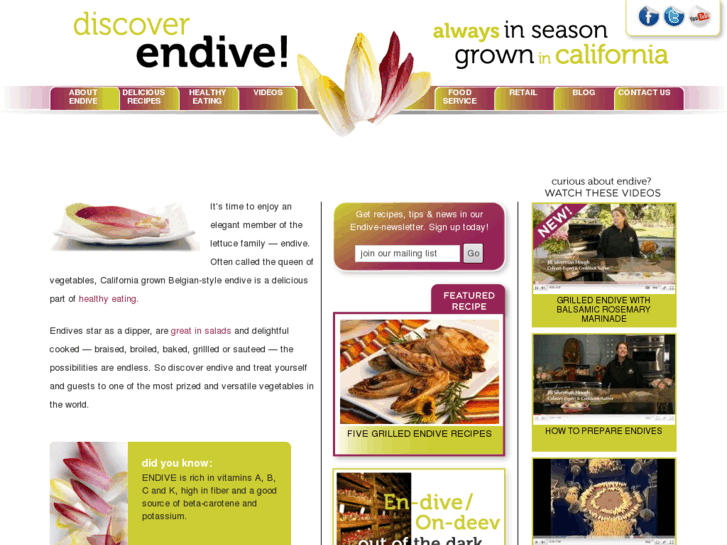 www.endive.com