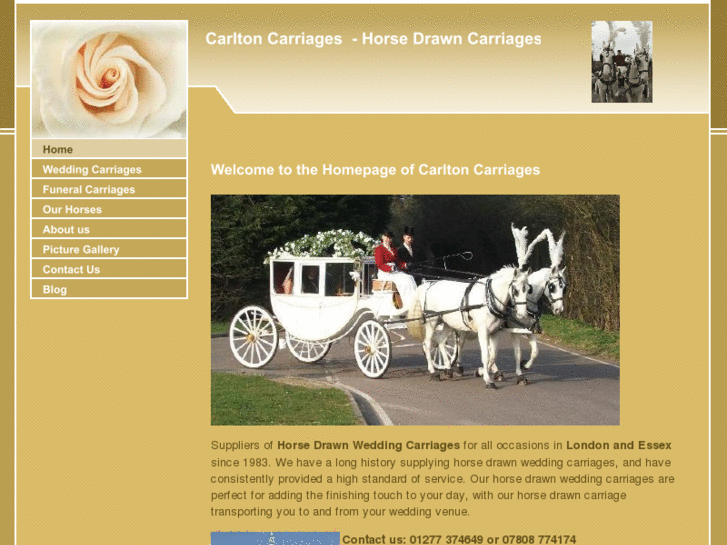 www.funeralhorses.co.uk