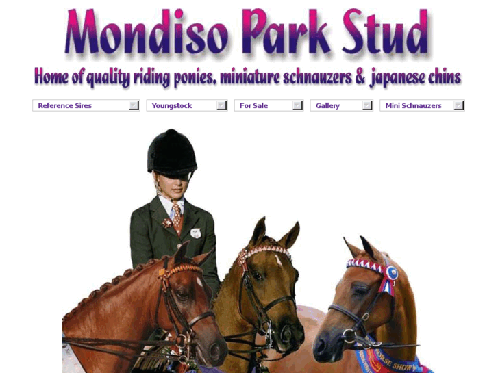 www.mondisopark.com