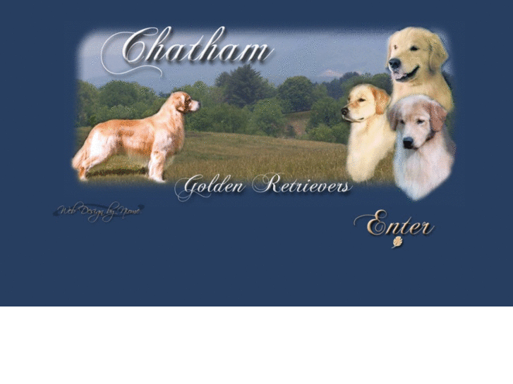 www.chathamgoldenretrievers.com