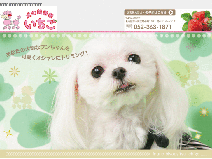 www.dogsalon-ichigo.com