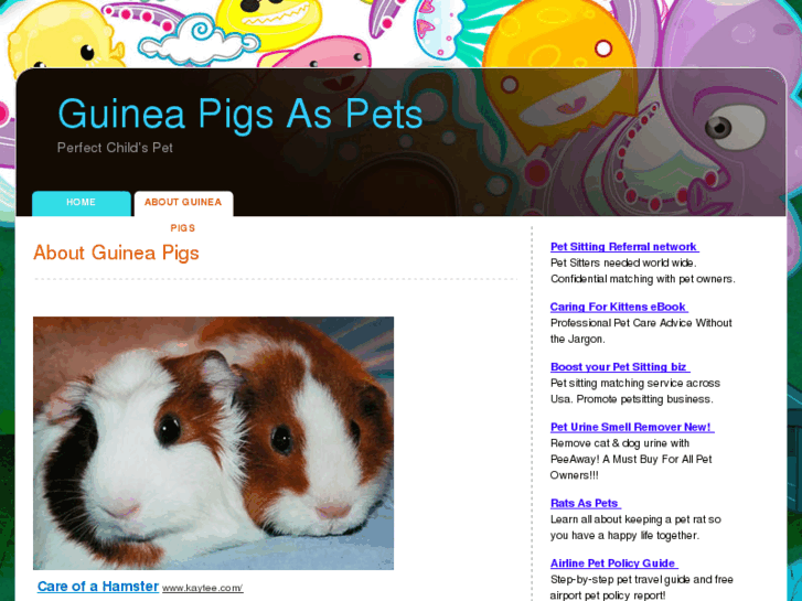 www.guineapigpet.net