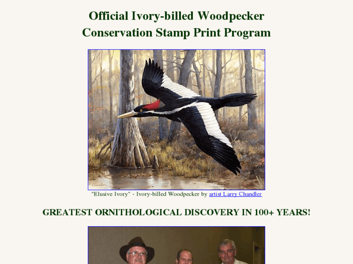 www.ivory-bill-woodpecker.com