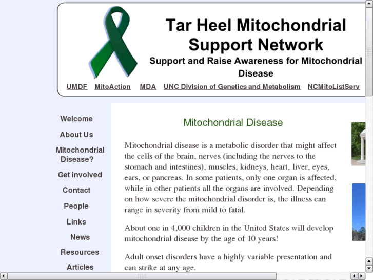 www.mitochondrialsupport.com