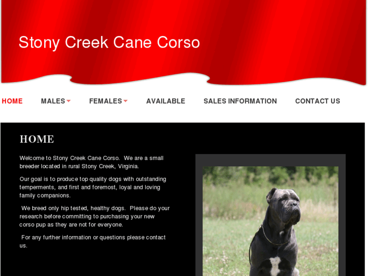 www.stonycreekcanecorso.com