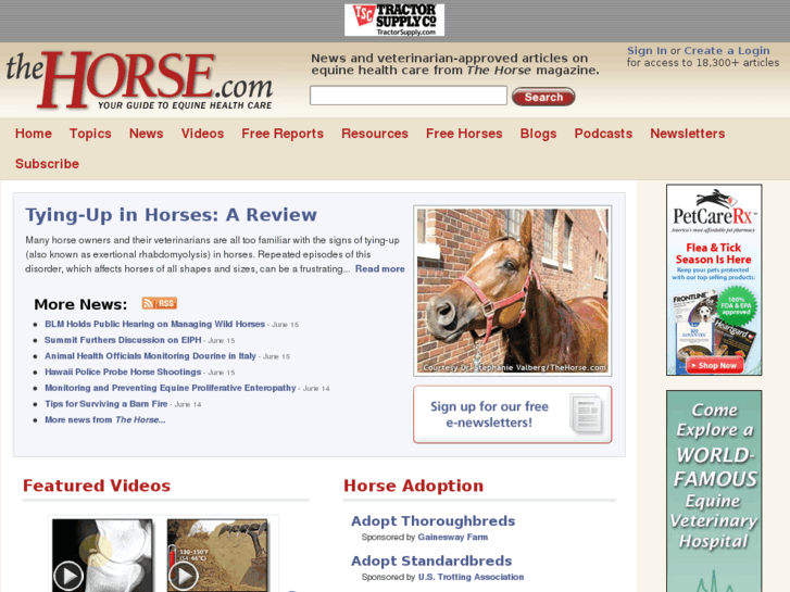 www.thehorse.com