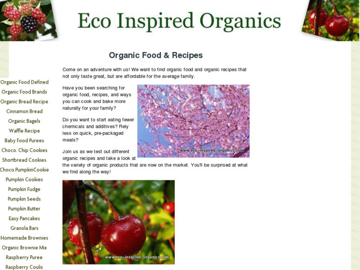 www.eco-inspired-organics.com