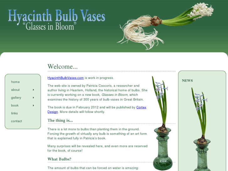 www.hyacinthbulbvases.com