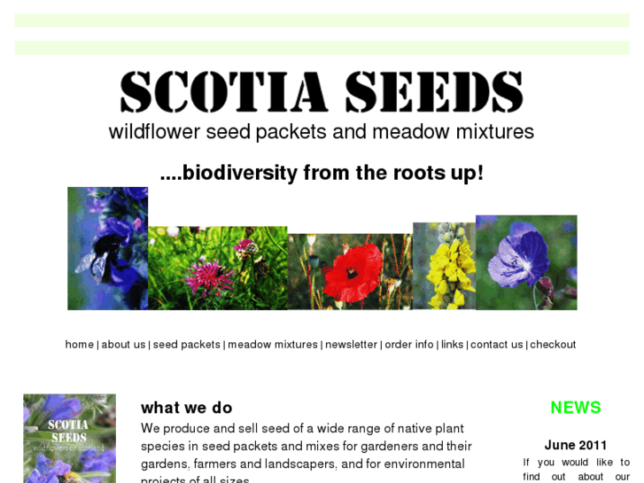 www.scotiaseeds.co.uk