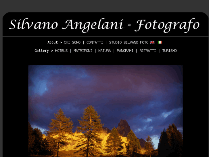 www.silvanoangelani.it