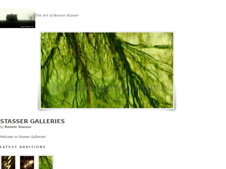 www.stassergalleries.com