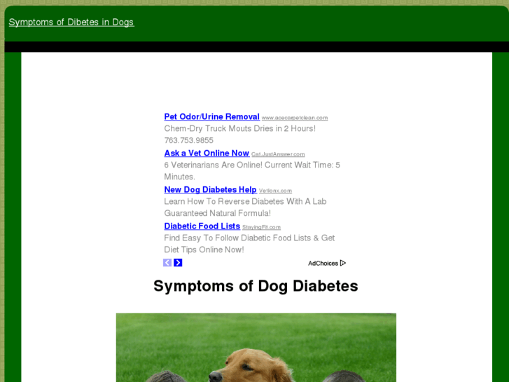 www.symptomsofdiabetesindogs.com
