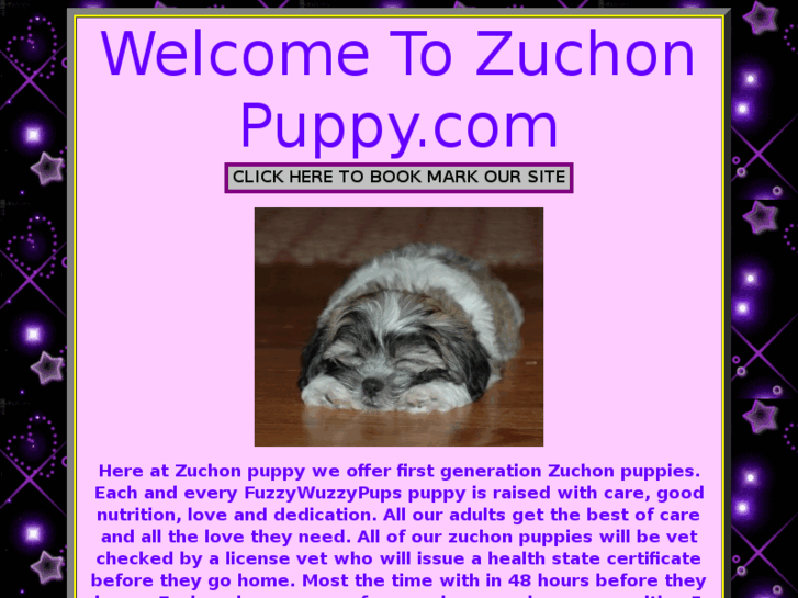 www.zuchonpuppy.com