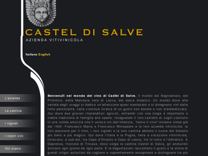 www.casteldisalve.com