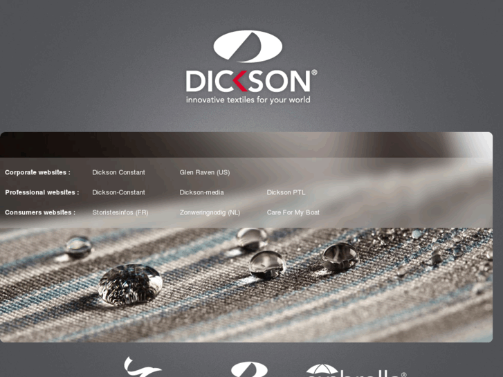 www.dickson-groupe.com