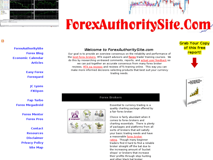 www.forexauthoritysite.com