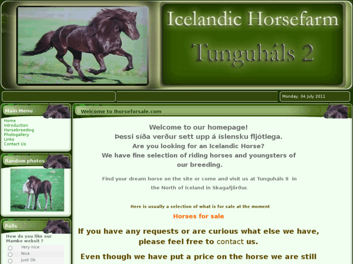 www.ihorseforsale.com