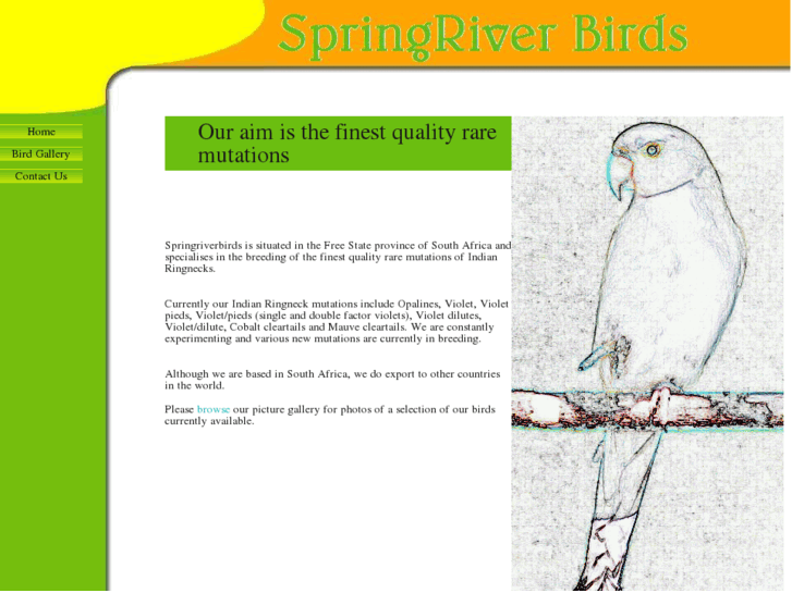 www.springriverbirds.com