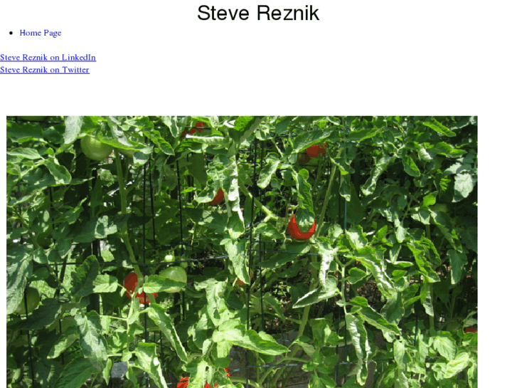 www.stevereznik.com