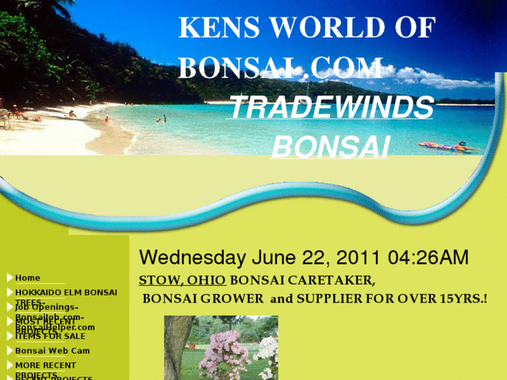 www.tradewindsbonsai.com