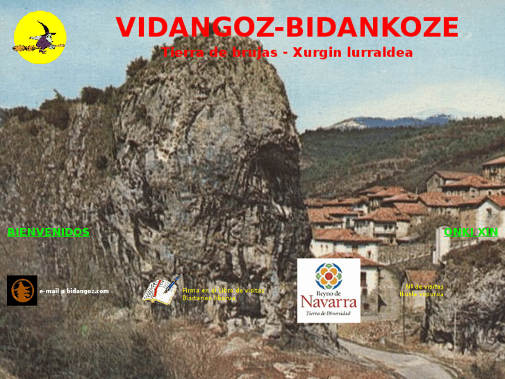 www.vidangoz.com