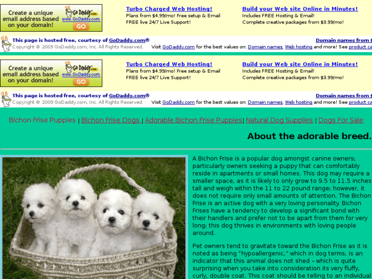 www.bichonfrisepuppiesonline.org